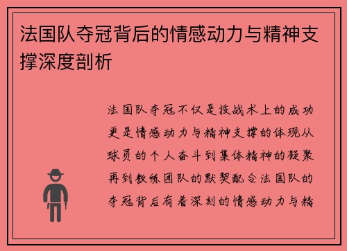 法国队夺冠背后的情感动力与精神支撑深度剖析